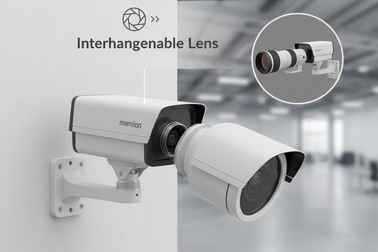 IP Cameras